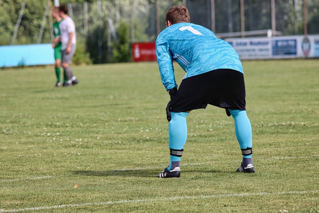 goalkeeper, football, soccer, sports, amateur sport, lawn, field, soccer match, football match