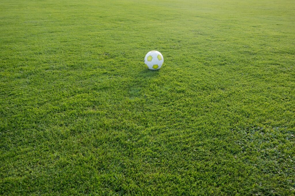 soccer, sports ground, ball, football pitch, sports, lawn, ball sports, world championship, football field, green, playing field, grass, nature, football match