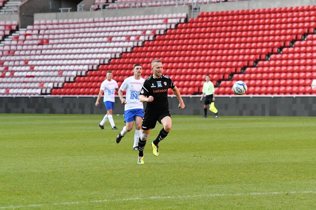 soccer game, football, ball, sunderland, action, kick, rush, match, goal, stadium, competition, team, plater, soccer, nature, sport, game, field, play, player, grass, sports, people