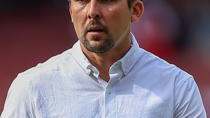Hamburg confirm Fabio Vieira has joined from Arsenal